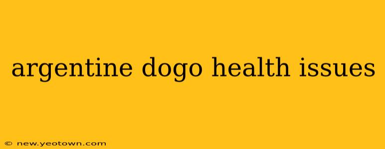 argentine dogo health issues