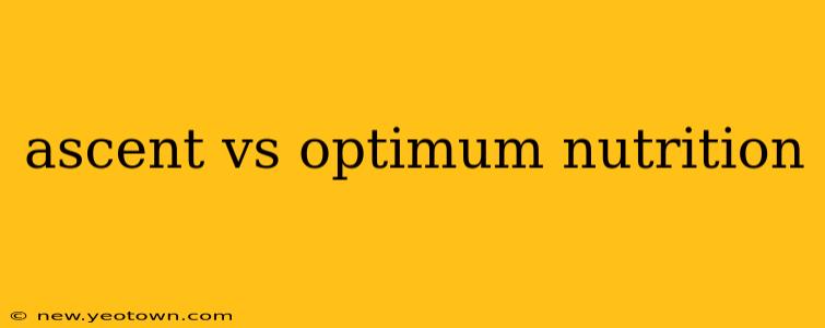 ascent vs optimum nutrition