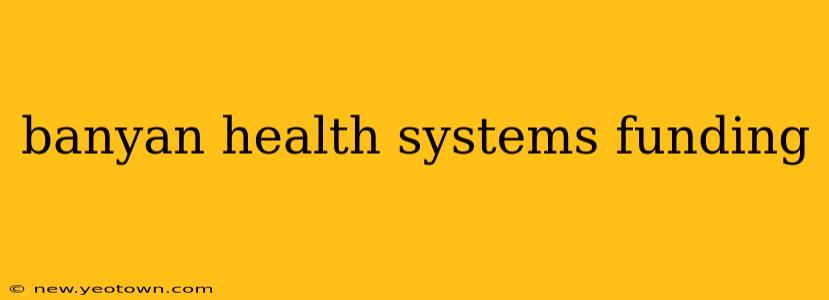 banyan health systems funding