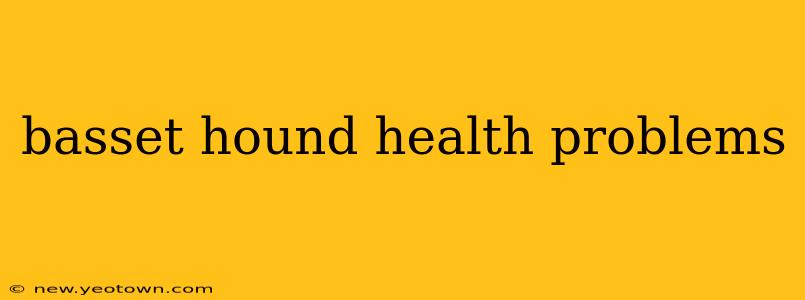 basset hound health problems