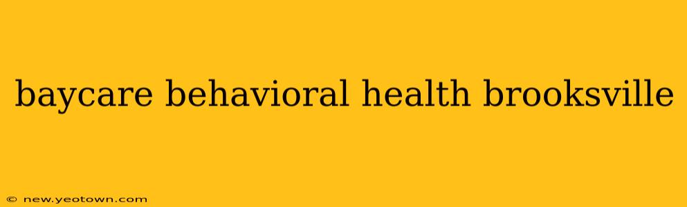 baycare behavioral health brooksville