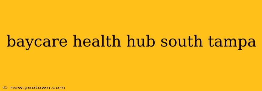baycare health hub south tampa