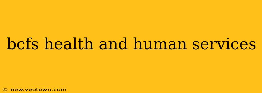 bcfs health and human services