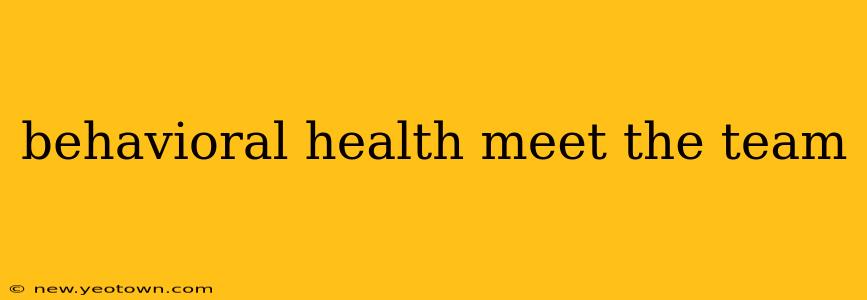 behavioral health meet the team