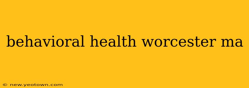 behavioral health worcester ma