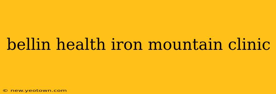 bellin health iron mountain clinic