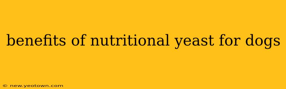 benefits of nutritional yeast for dogs