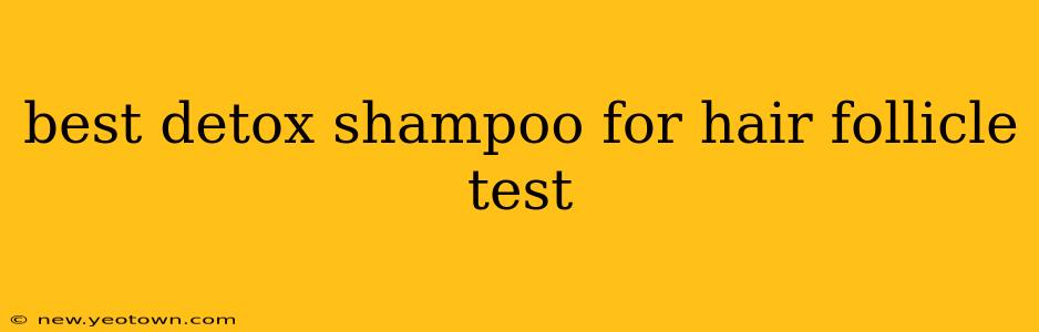 best detox shampoo for hair follicle test
