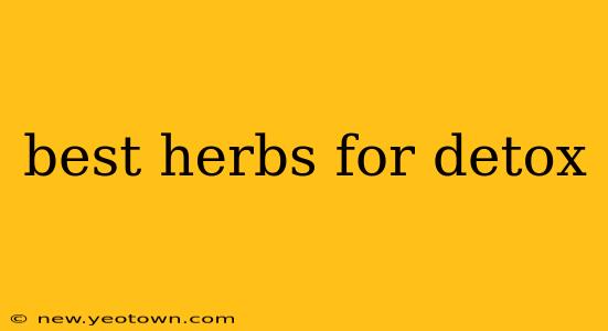 best herbs for detox