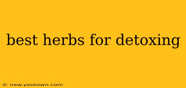 best herbs for detoxing