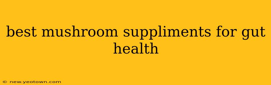 best mushroom suppliments for gut health