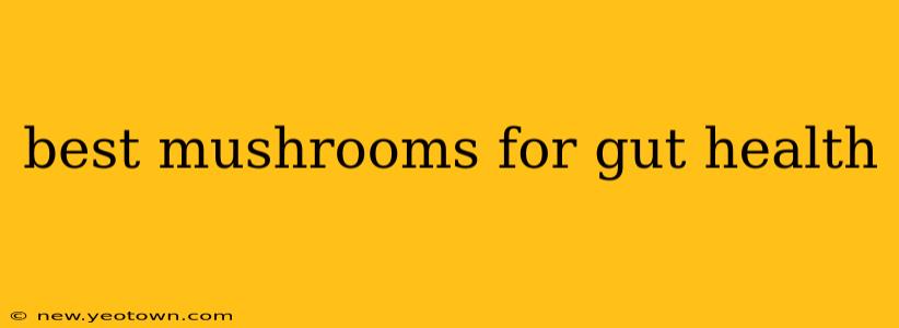 best mushrooms for gut health