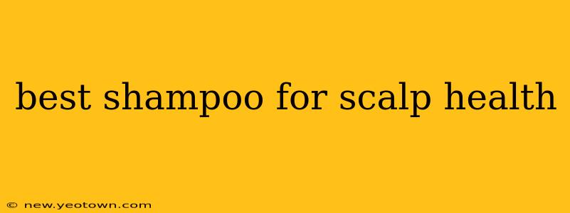 best shampoo for scalp health