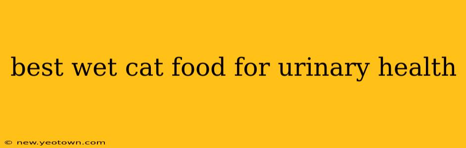 best wet cat food for urinary health