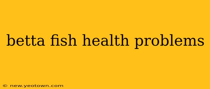 betta fish health problems