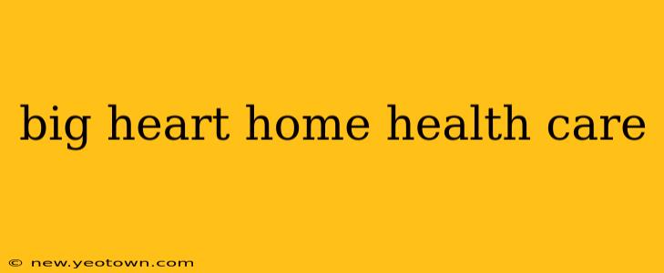 big heart home health care