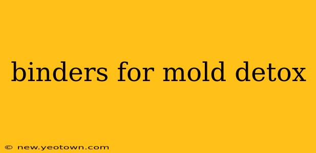 binders for mold detox