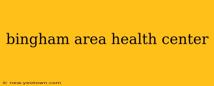 bingham area health center