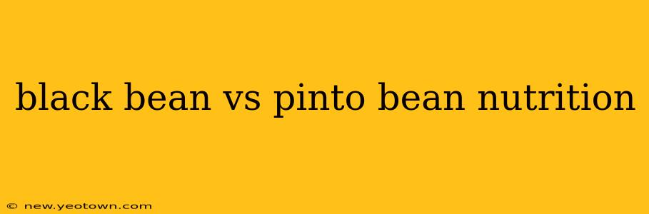 black bean vs pinto bean nutrition