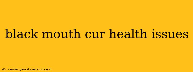 black mouth cur health issues