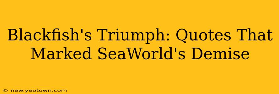 Blackfish's Triumph: Quotes That Marked SeaWorld's Demise