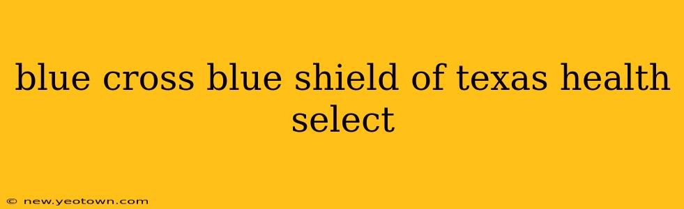 blue cross blue shield of texas health select