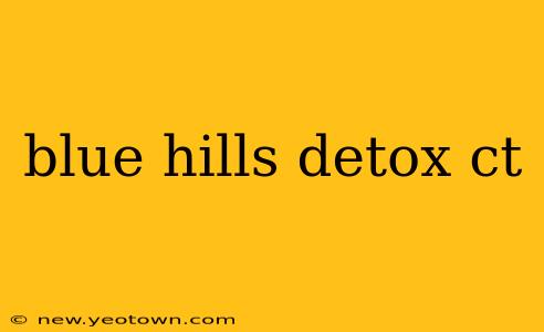 blue hills detox ct