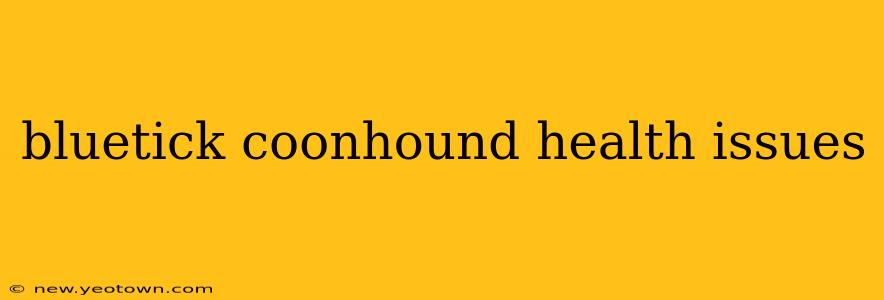 bluetick coonhound health issues