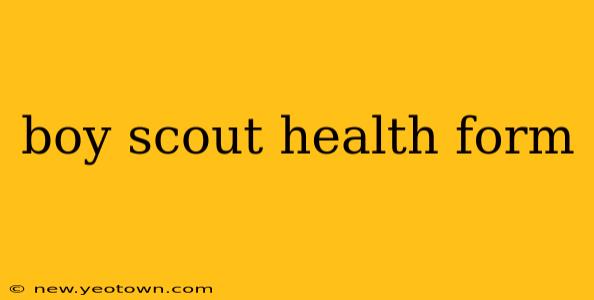 boy scout health form