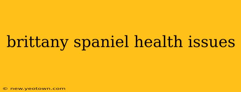 brittany spaniel health issues