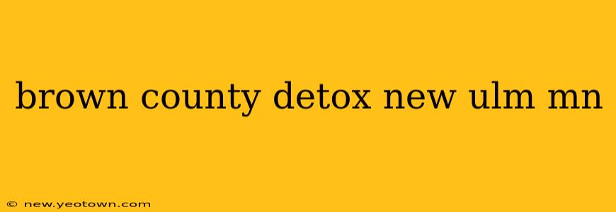 brown county detox new ulm mn