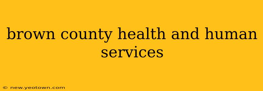 brown county health and human services