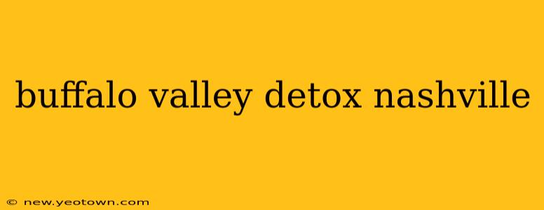 buffalo valley detox nashville