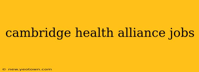 cambridge health alliance jobs