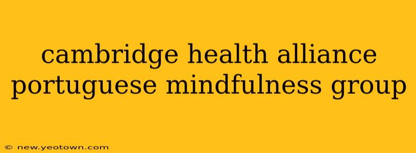 cambridge health alliance portuguese mindfulness group