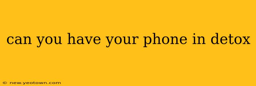 can you have your phone in detox