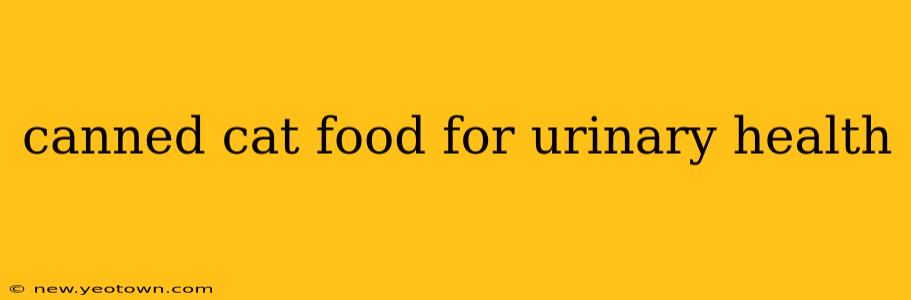 canned cat food for urinary health