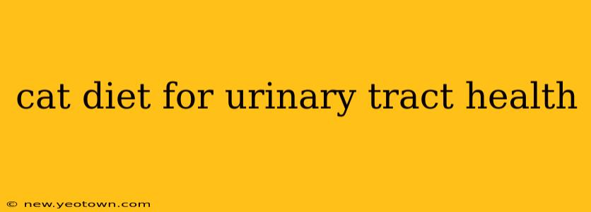 cat diet for urinary tract health