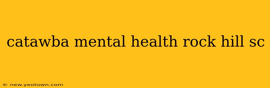 catawba mental health rock hill sc