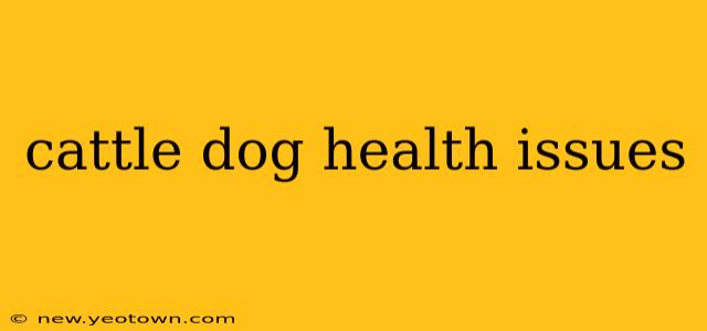 cattle dog health issues
