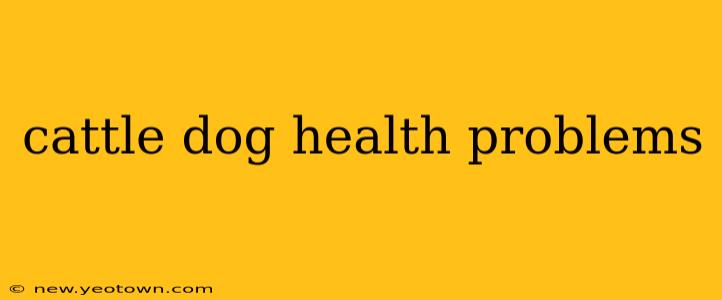 cattle dog health problems