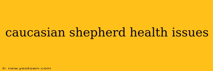 caucasian shepherd health issues