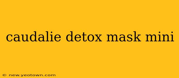 caudalie detox mask mini