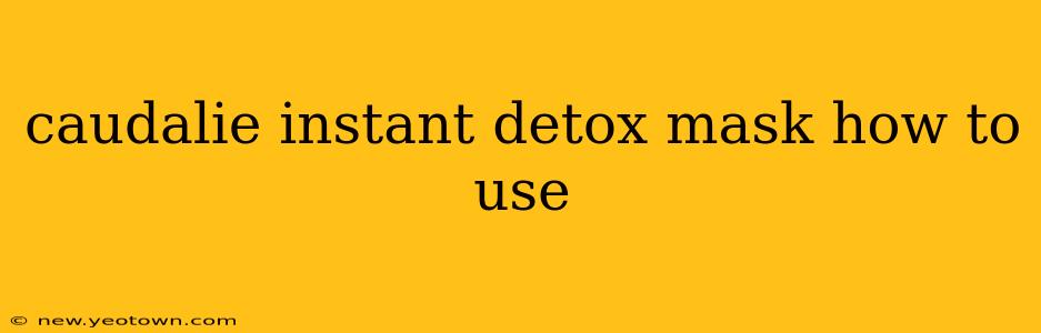 caudalie instant detox mask how to use
