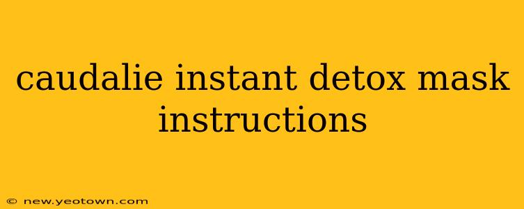 caudalie instant detox mask instructions