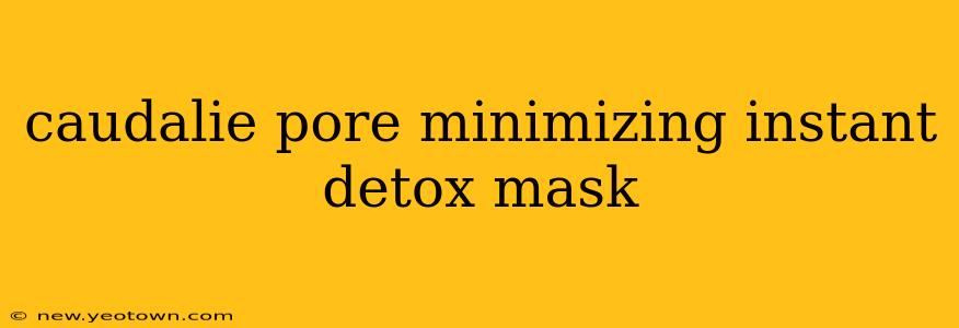 caudalie pore minimizing instant detox mask