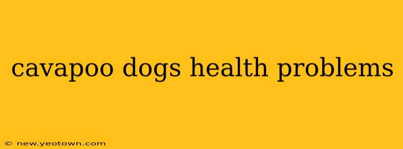 cavapoo dogs health problems