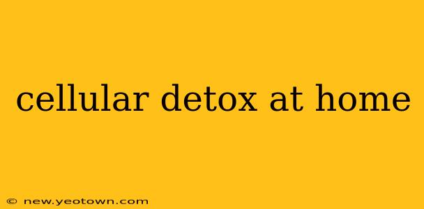 cellular detox at home