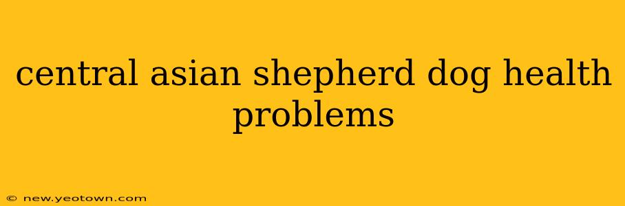 central asian shepherd dog health problems