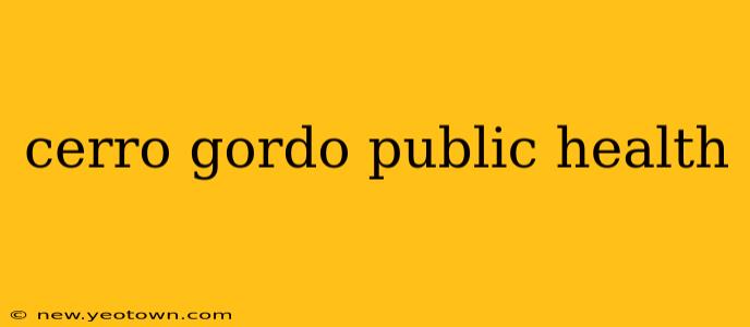cerro gordo public health